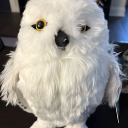 Harry Potter Hedwig 
