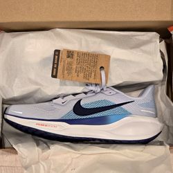 NEW Nike Air Zoom Pegasus 41 Men's Size 10.5