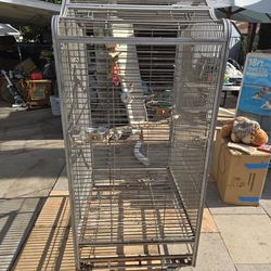 Bird Cage