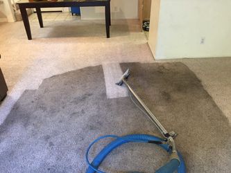Steam Carpet Cleaner