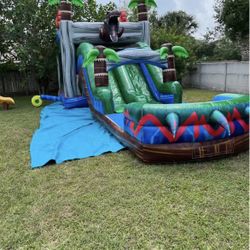 Dry/wet Dinosaur Bouncer With Slide
