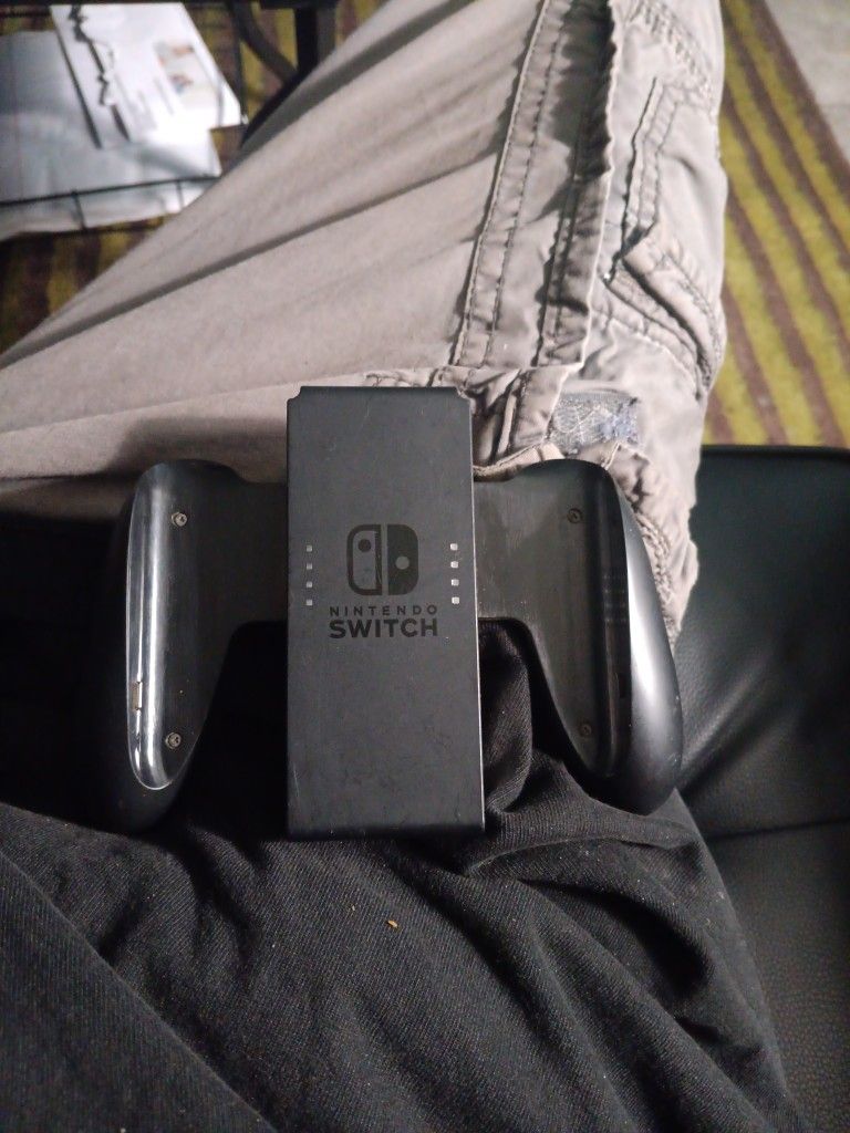 Nintendo Switch Controller 