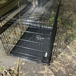 XL dog Cage