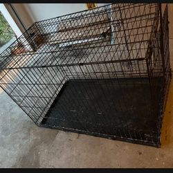 Dog Cage 