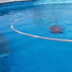 Pool 18 Ft Round 4 Ft Deep