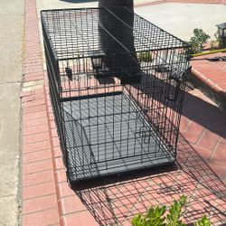 DOGS CASE 36 X24 in 