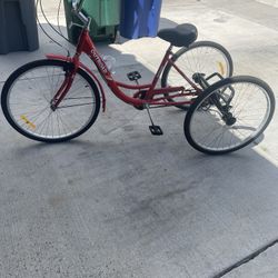 Physical Therapy Bike