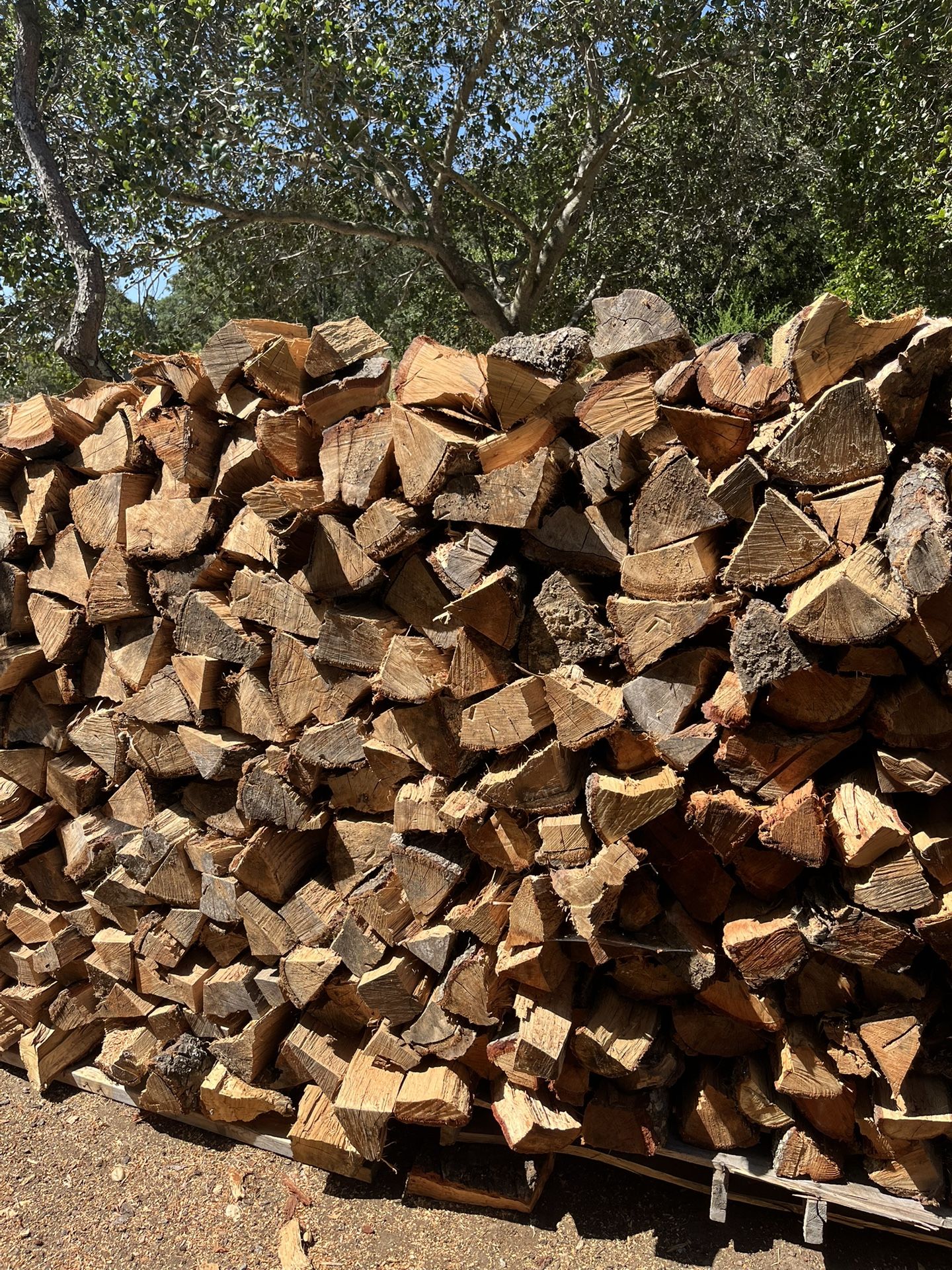 Oak Firewood