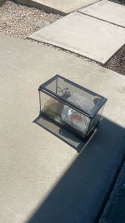 Used Lizard tank