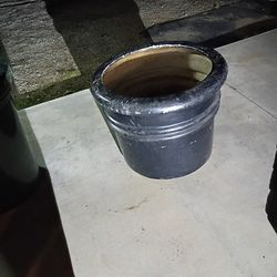 Big Plant/Tree/Fruit Pot That Is Mobile Because It Has Discreet Hidden Wheels