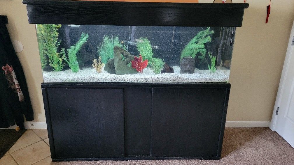 100g Fresh Water Fish Tank