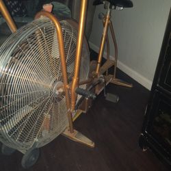 Schwinn Dynamics  22