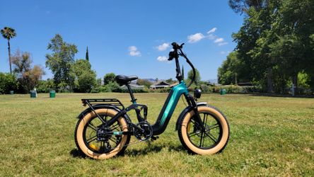 Fat Tires Full Suspension Electric Bike