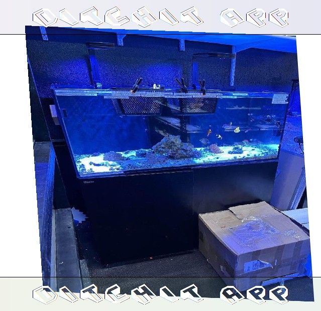 Premium-Grade Aquarium Setup - Top-Level Quality Choice group surface