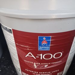 5 gallons exterior satin light beige paint