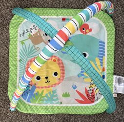 Activity Play Gym Mat