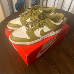 Nike Dunk Size 13 Pacific Moss