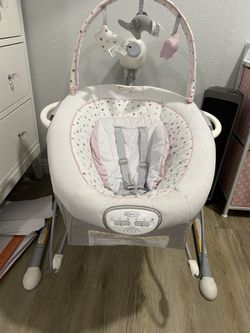 Swing With Portable Bouncer
