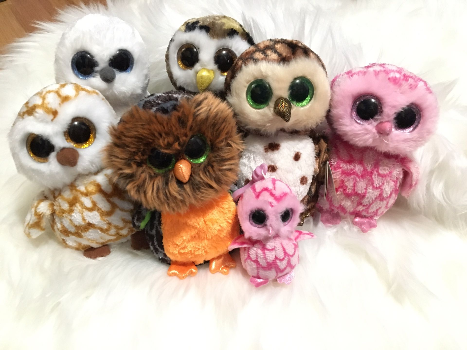 Ty beanie boo owl bundle (lot of 7)