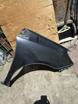 Sienna Fender