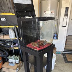 15 Gallon Aquarium 
