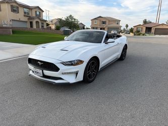2019 Ford Mustang
