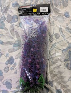 Aquarium plant