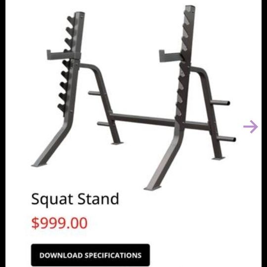 Hudson steel online squat rack