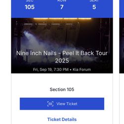Nine Inch Nails Peel IT Back Tour 2025 