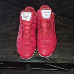 Puma Motorsport Ferrari's