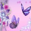 Viole