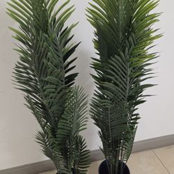 *** REDUCED *** PAIR of 64" Areca Palms in 11" Blue Resin Planters @ Lasting Creations