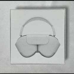 Wireless Bluetooth 🎧 Why/ Silver 