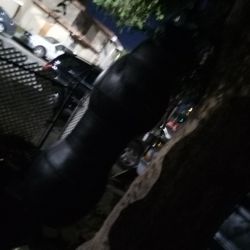 Double End 70 Lb Punching Bag