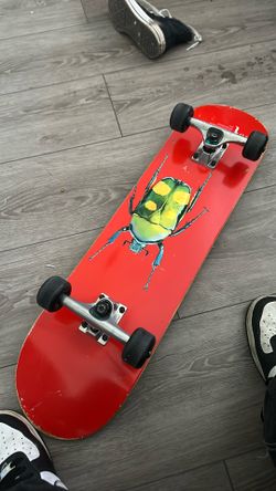 Skate Board