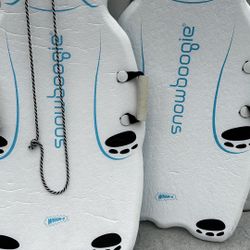 Snow Boards
