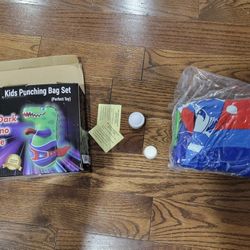 Light Up Inflatable Dinosaur Punching Bag Toy  Boxing Bag for Kids  Brand New   Only pickup 