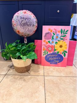 Mother’s Day plant arrangement