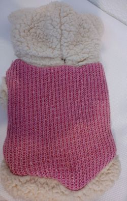 Puppy's Clothes See Pictures