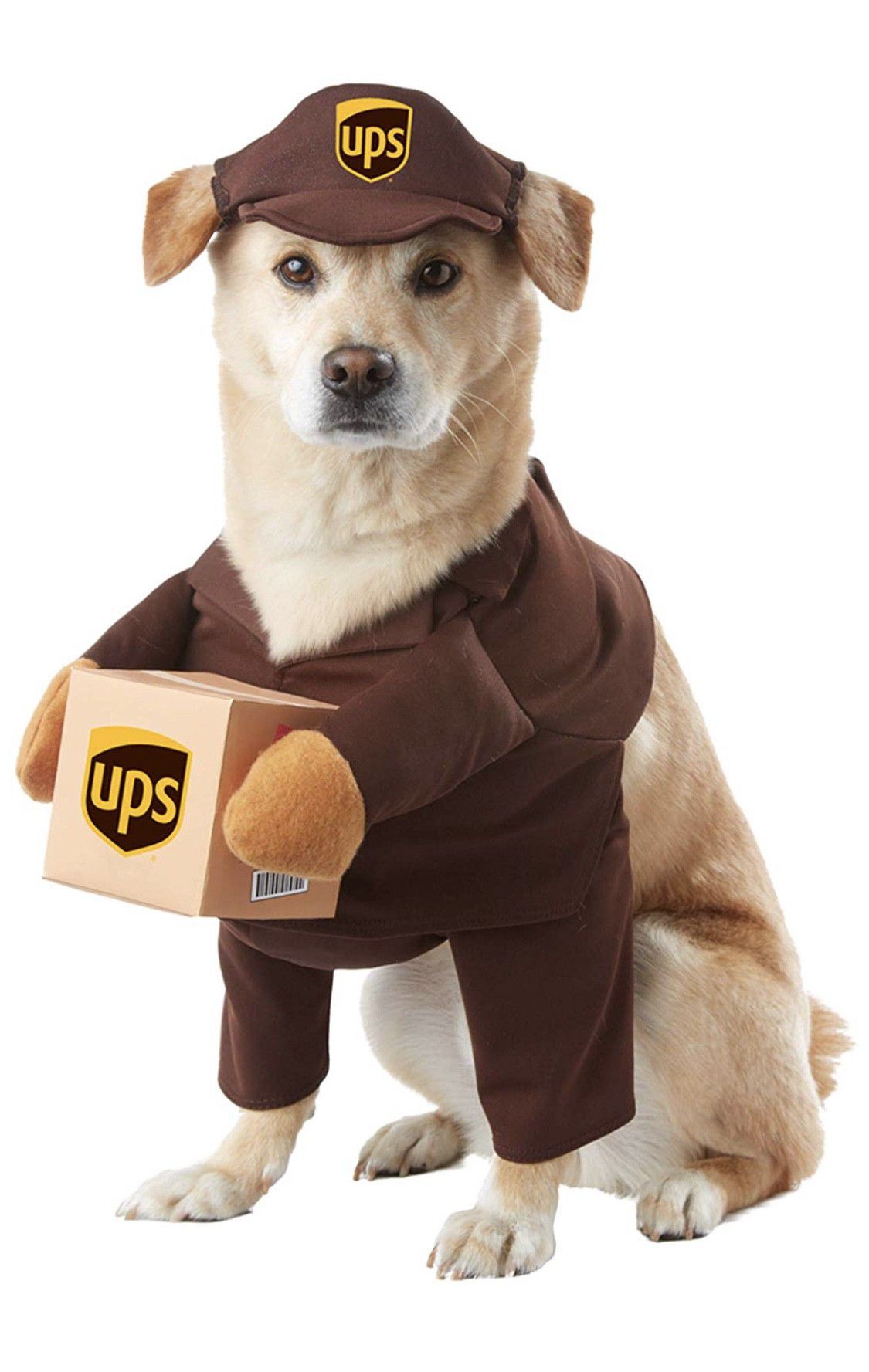 New UPS delivery dog Halloween costume size medium