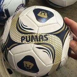 Pumas Size Five 
