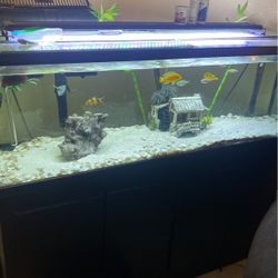 125 Gallon 