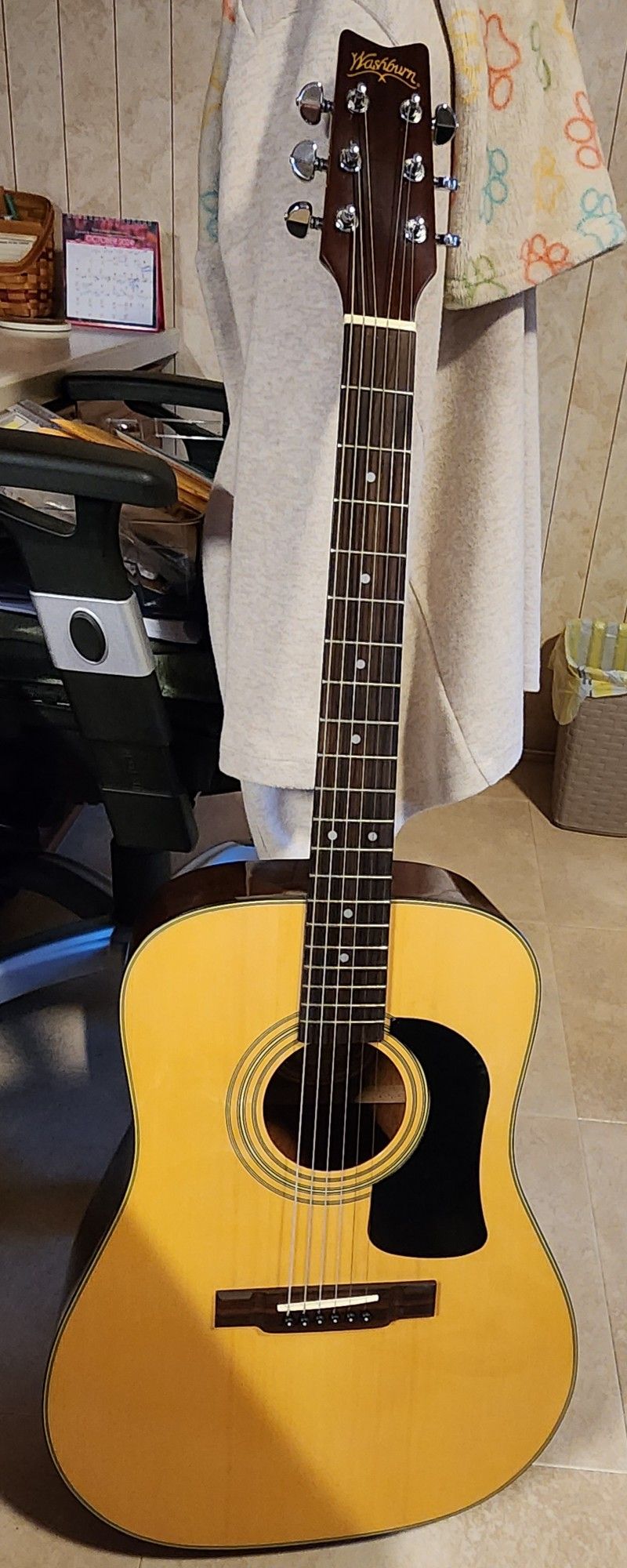 Washburn Limited Edition Guitar