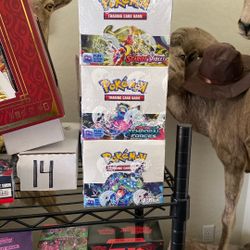 Pokemon Booster Box’s