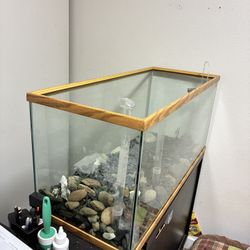 40 Gallon Tank