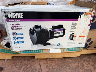 Wayne WLS150 1.5 HP Cast Iron Lawn Pump