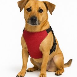 Adjustable Dog Harness – Red, Purple, Green, Blue Available, Sizes S-L