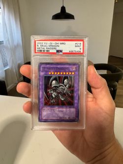 B skull dragon