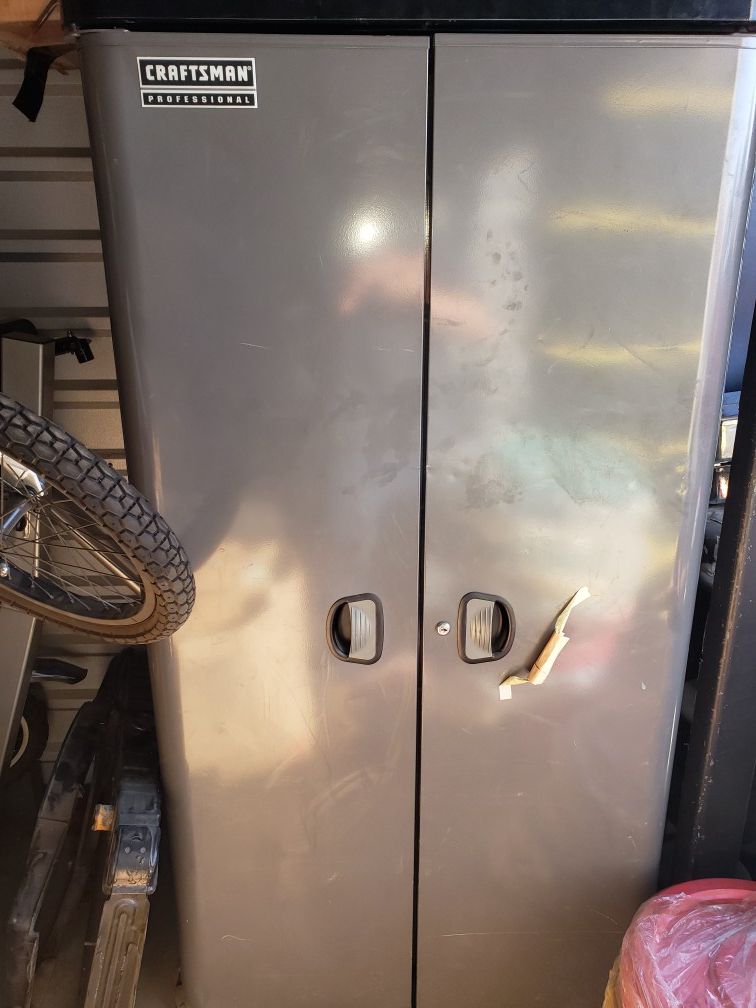 Craftsman professional cabinet