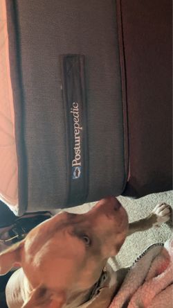 Mattress
